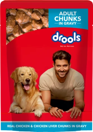 Drools Real Chicken and Chicken Liver Chunks in Gravy Adult Dog Food
