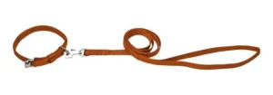 Kennel Nylon Collar & Leash Set (1") (Large)