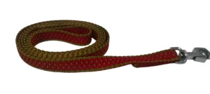 Kennel Nylon Dotzy Lead (L = 48") - Black (Basic Edition)