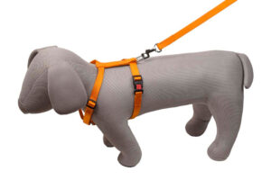 Kennel Soft Nylon 3 Way Click Lock Adjustable Harness & Leash Set (3/4") - Brown
