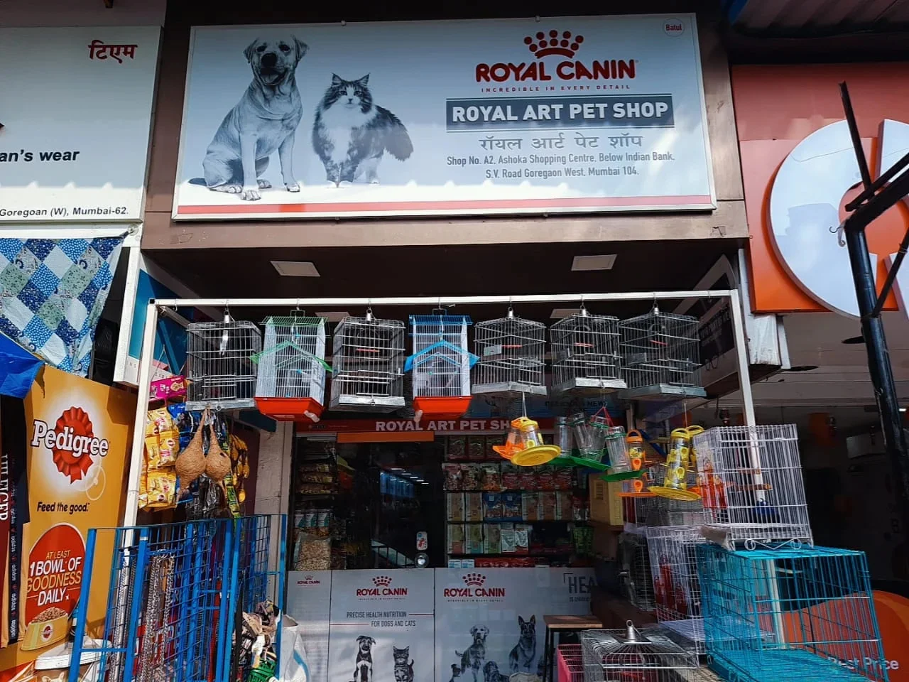 Royal Art Pet Shop storefront and aisles