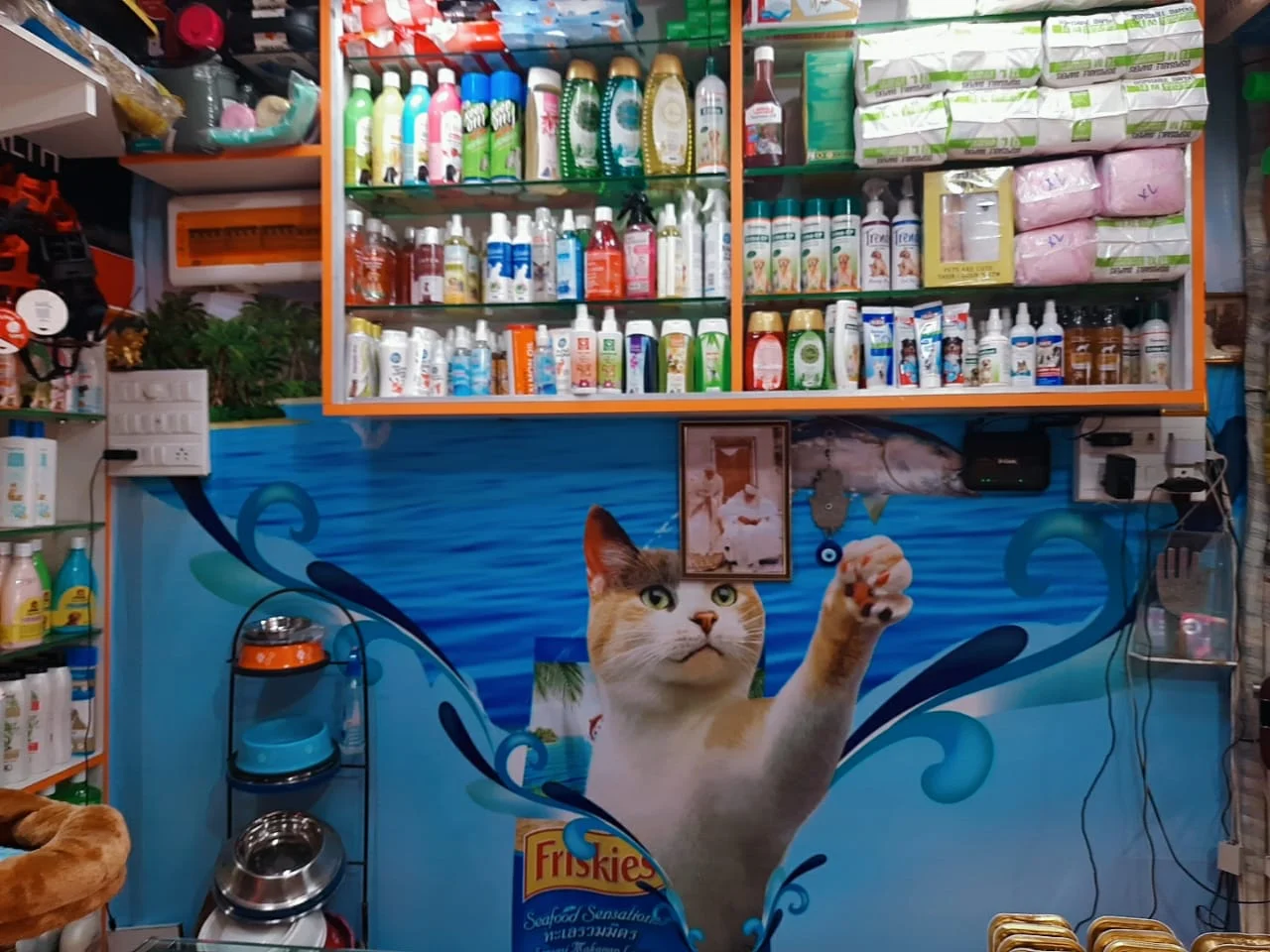 Shop interior aisles